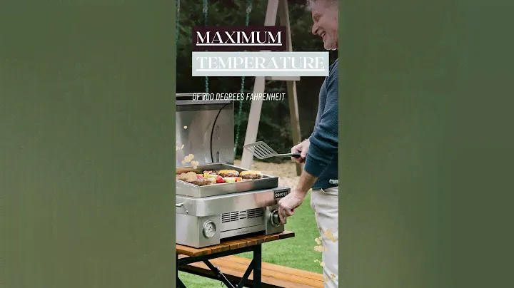 2022 Holiday Gift Guide - Portable Grill